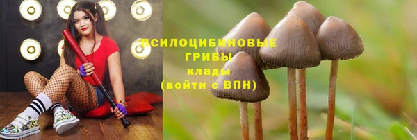 скорость Заволжск