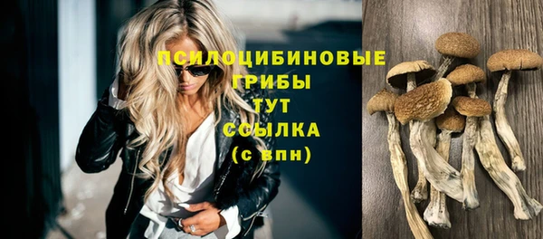 скорость Заволжск