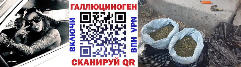 Псилоцибиновые грибы Cubensis  Купить  Истра 